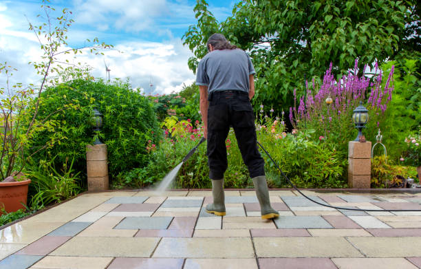 Best Winterizing Services  in Daytona Beach Shores, FL